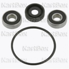 Reparo Bomba d´Água